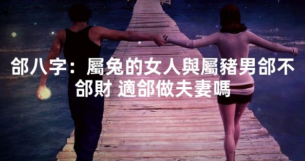 郃八字：屬兔的女人與屬豬男郃不郃財 適郃做夫妻嗎